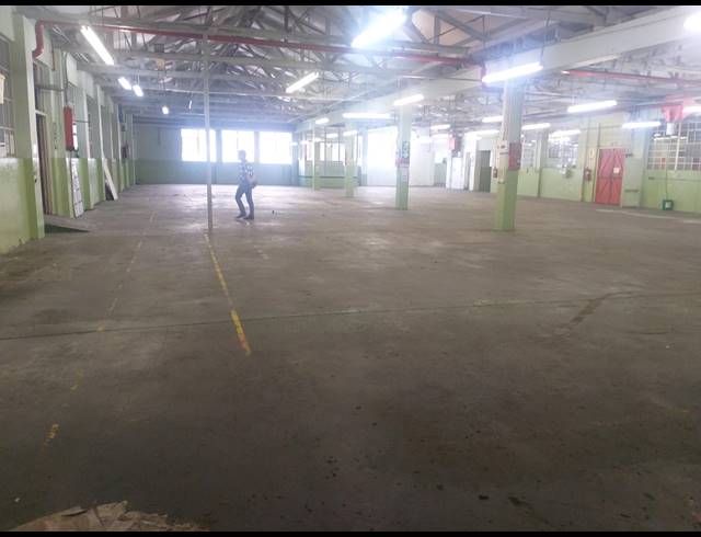 1,350M² WAREHOUSE TO LET IN MAITLAND